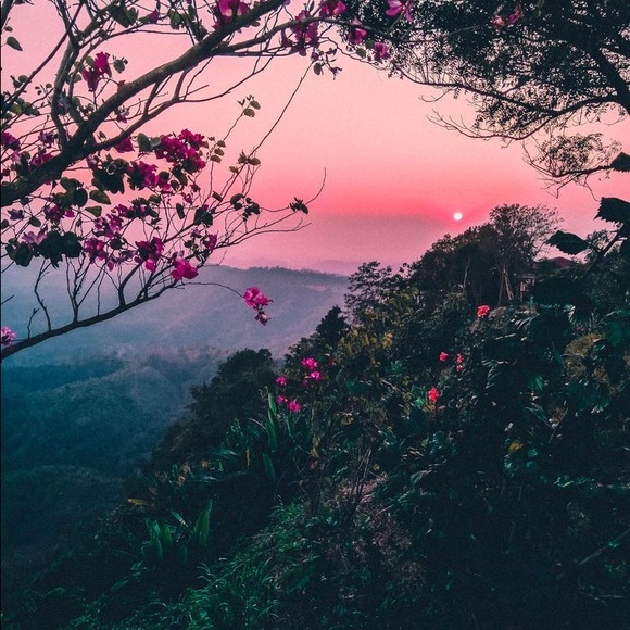 Meet your Posher, Gina - Picture 8 of 13